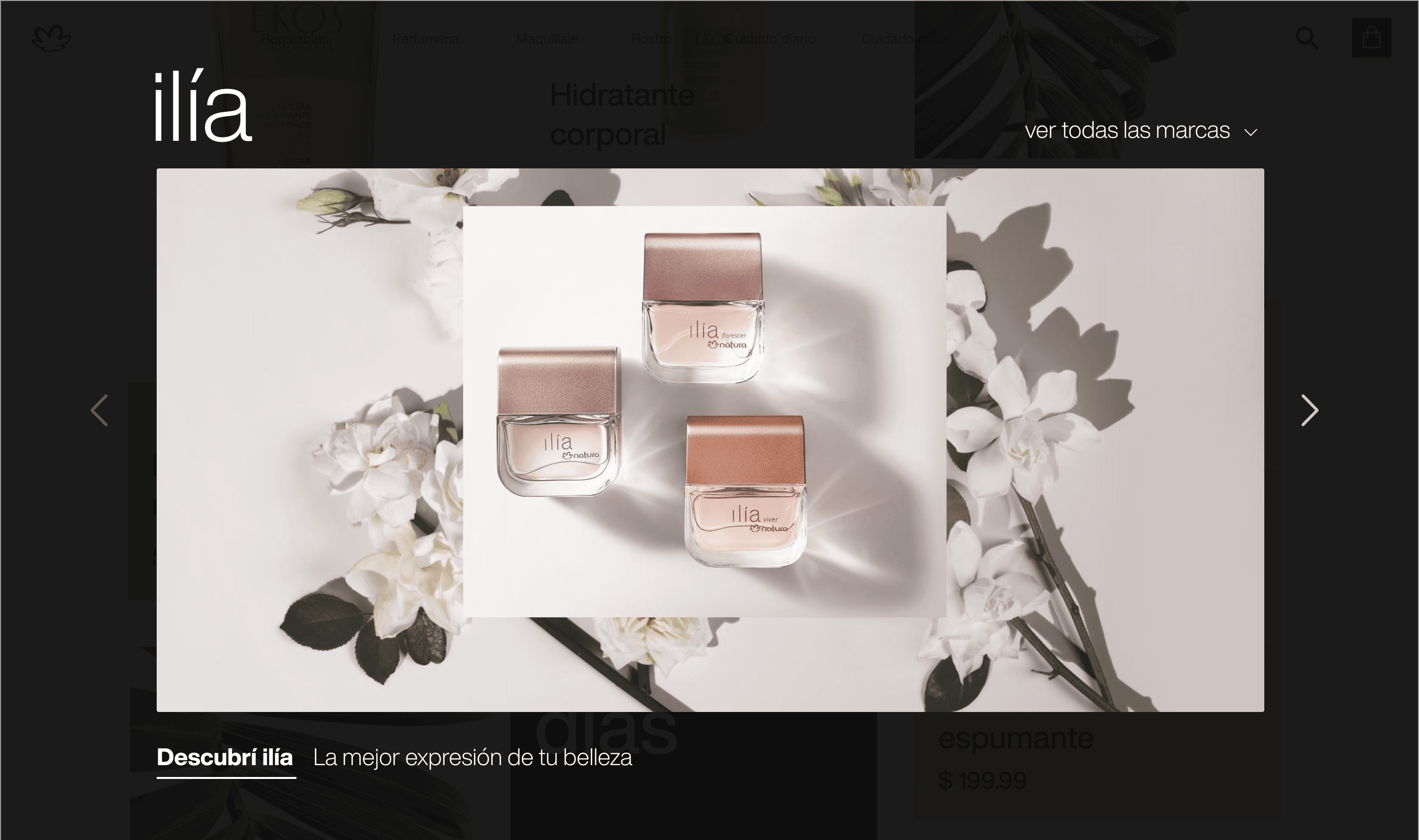 Home carousel — Ilía