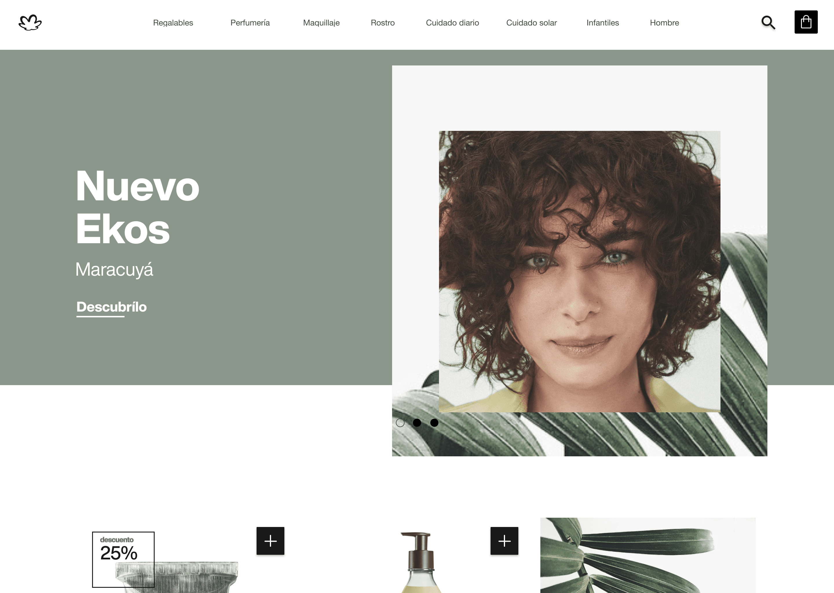 Home header option — portrait insert