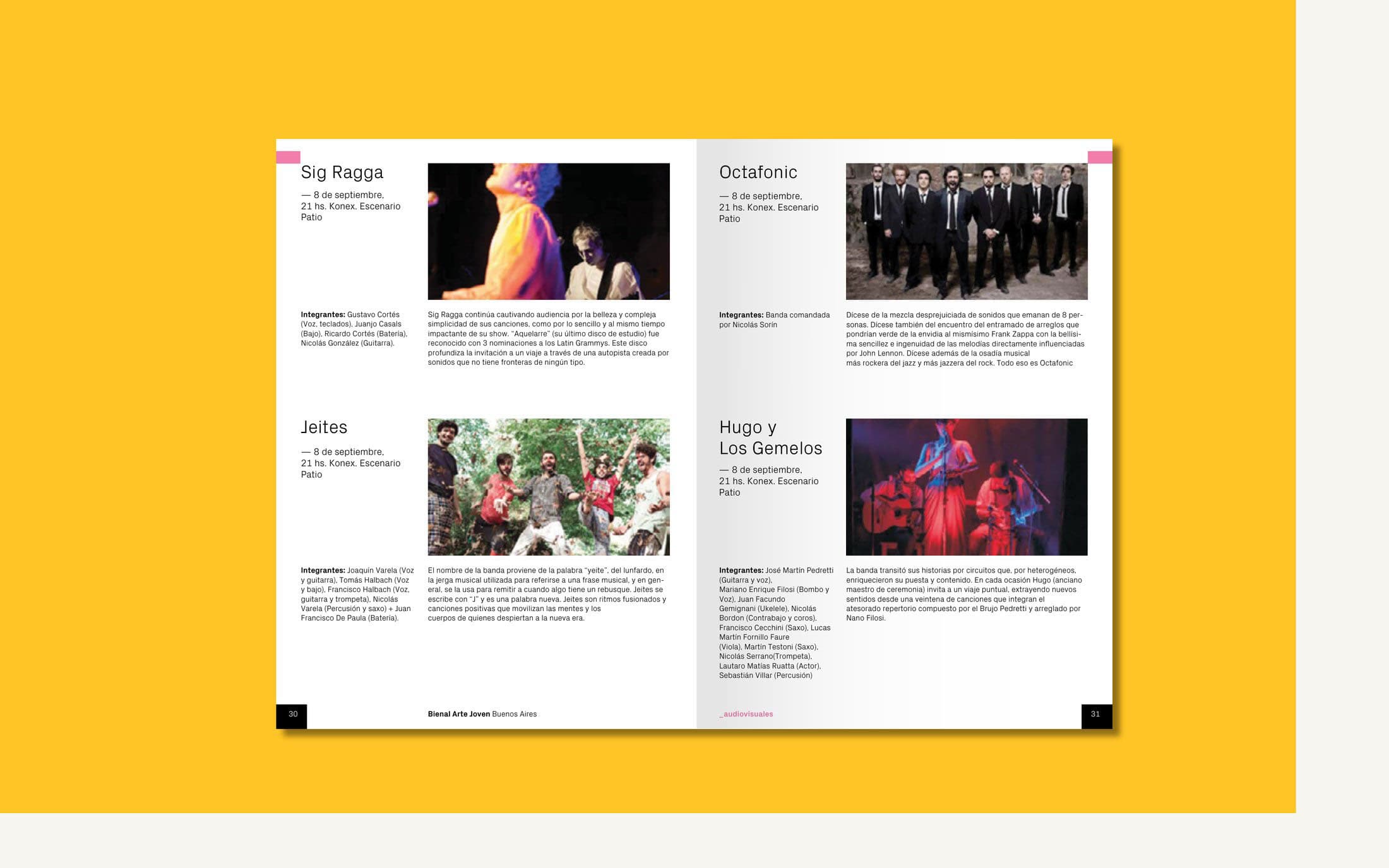 Bienal Arte Joven Buenos Aires — Posters, postcards, flyers, merchandising, brochure, public ads, image 17